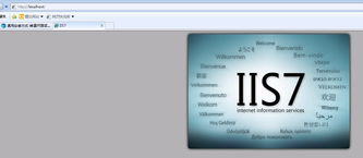 安裝后不能使用 問答 禪道開源項目管理軟件