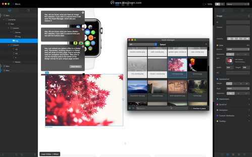 mac網頁代碼編輯器哪款好用 blocs 3.2.4mac版怎么樣