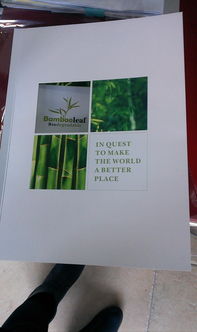 平面 書裝 sundie4357 zcool