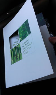 平面 書裝 sundie4357 zcool