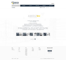 安恒集團內(nèi)頁設(shè)計稿 神州互動網(wǎng)站建設(shè)項目