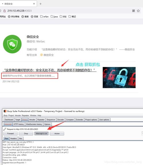 web安全 基礎入門 數據包拓展,安裝burp suite,練習來源頁偽造 瀏覽器信息偽造 http動作練習 投票系統程序設計缺陷分析