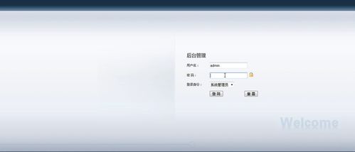 java web寵物生態系統 完整源碼 附帶詳細的設計報告